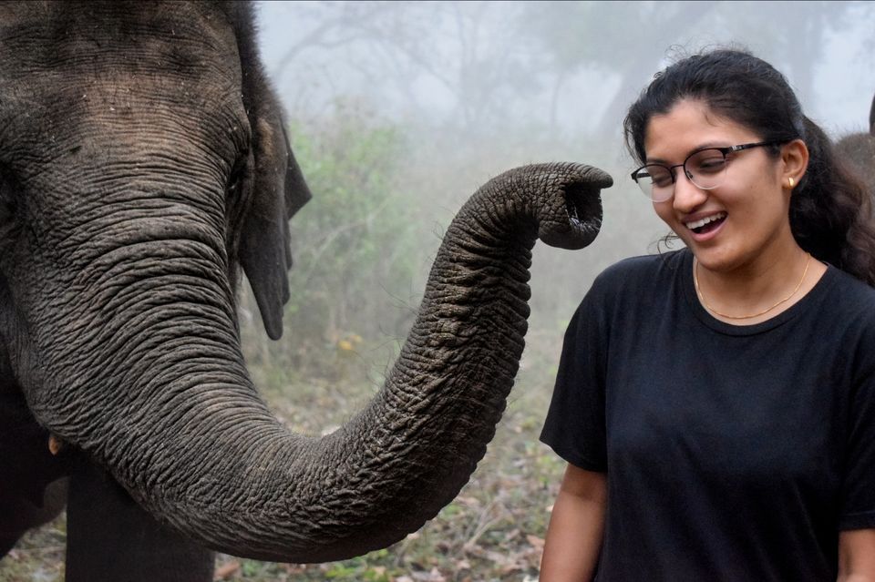 Photo of Sakrebailu Elephant Training Camp by travelfreak.dev