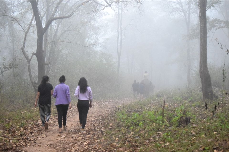 Photo of Sakrebailu Elephant Training Camp by travelfreak.dev