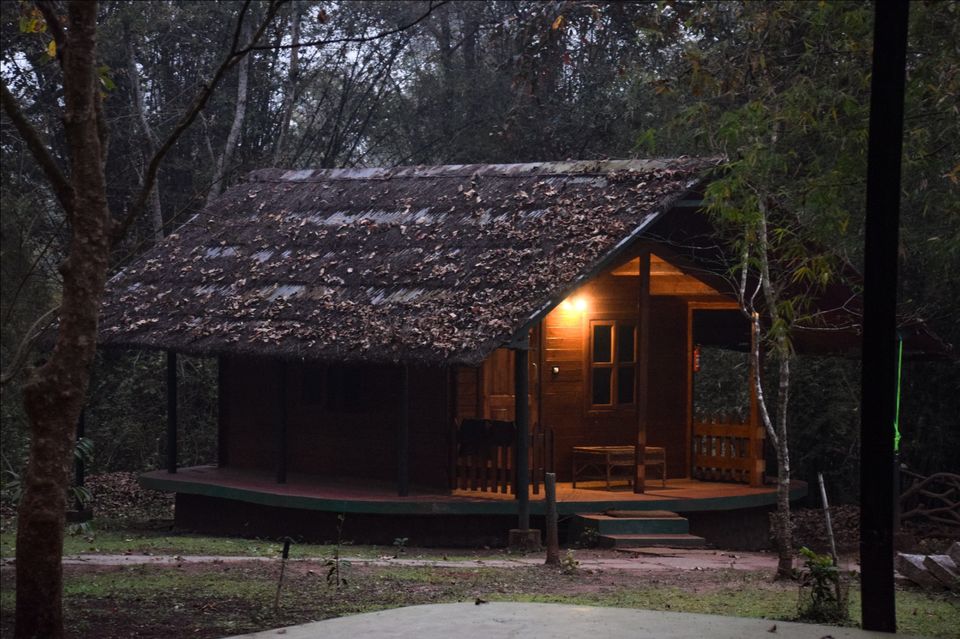 Photo of Sakrebailu Elephant Training Camp by travelfreak.dev