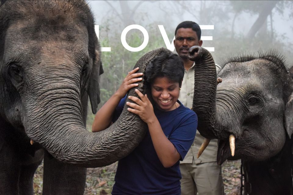 Photo of Sakrebailu Elephant Training Camp by travelfreak.dev