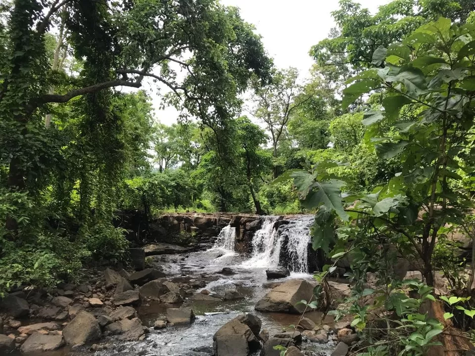 Photo of Chimer water fall... beauty of Dang...khushbu Guajrat ki... by Sharmil Kothari