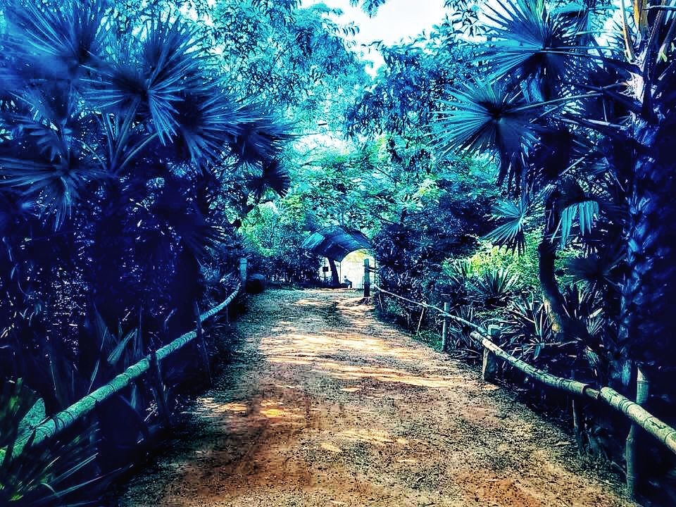 Photo of Solo backpacker trip to Pondicherry 2/7 by Jaya Chowdhury