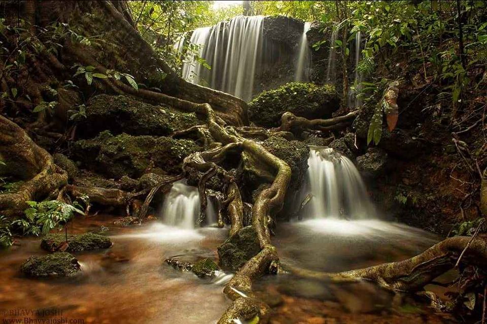 Photo of AGUMBE RAINFOREST by Bhavya Joshi