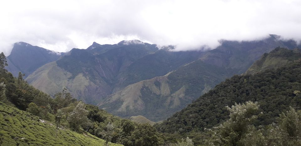 Photo of The Wild Munnar by Bhavya Joshi