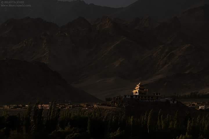 Photo of Ladakh Wildlife expedition by Bhavya Joshi