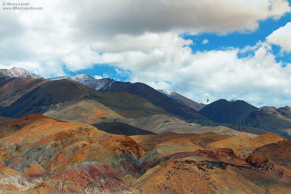Photo of Ladakh Wildlife expedition by Bhavya Joshi