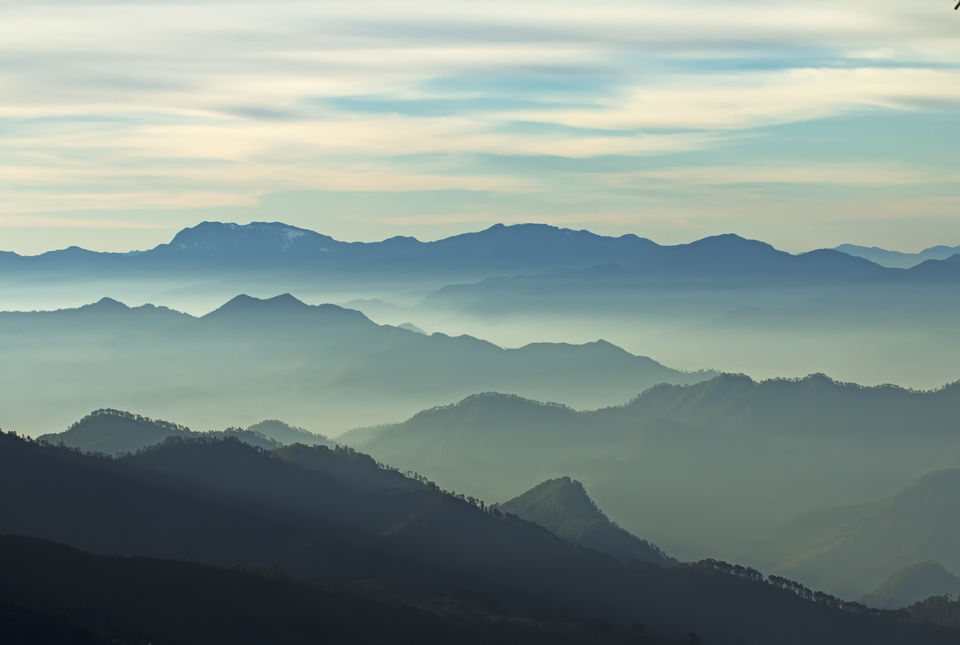Photo of Birding in Chopta 4/18 by Bhavya Joshi