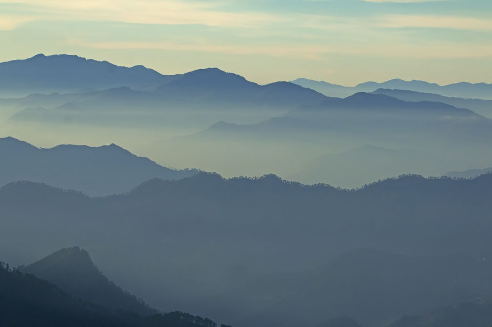 Photo of Birding in Chopta 2/18 by Bhavya Joshi
