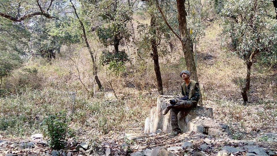 Photo of Birding in Chopta 17/18 by Bhavya Joshi