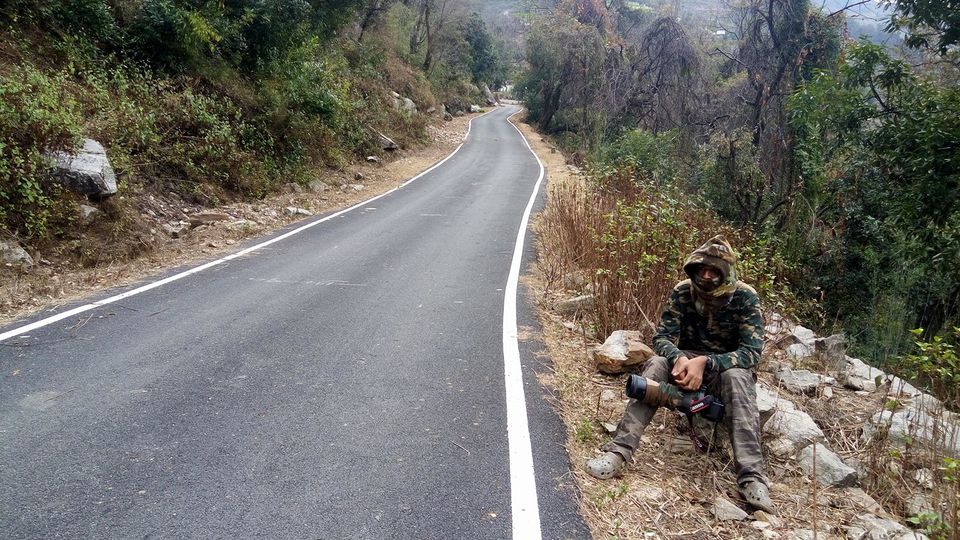 Photo of Birding in Chopta 18/18 by Bhavya Joshi