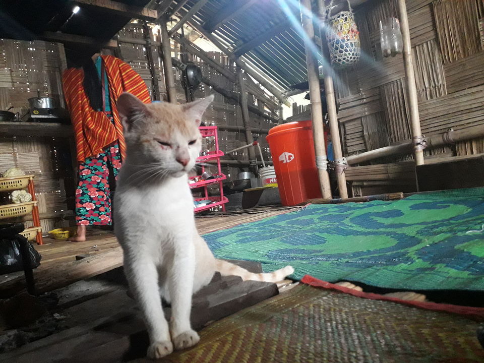 Photo of "Knock-Knock, we are here for snake"!! #TravelAdventure2019 10/14 by Bhavya Joshi