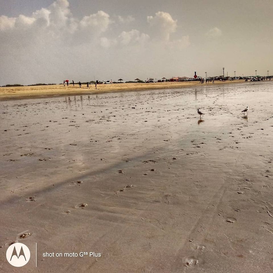 Photo of Mandvi Beach, Mandvi Rural, Gujarat by Eshwar M R