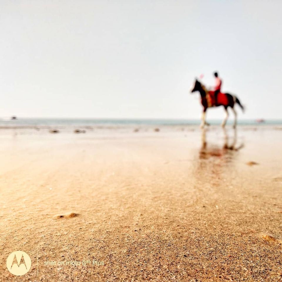 Photo of Mandvi Beach, Mandvi Rural, Gujarat by Eshwar M R