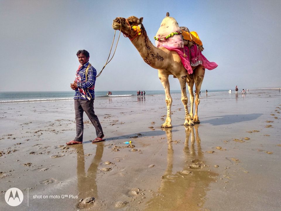 Photo of Mandvi Beach, Mandvi Rural, Gujarat by Eshwar M R