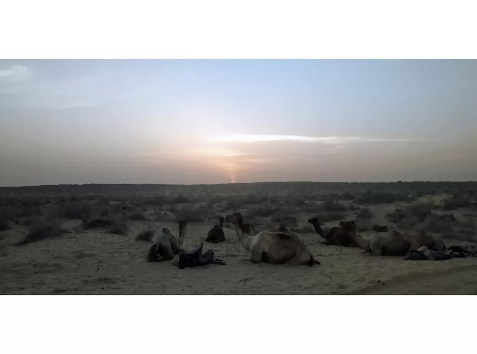 Photo of Golden city of forts, lakes and sand dunes- Jaisalmer by Ompuri Goswami