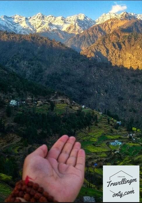 Photo of Chopta Tungnath – Uttarakhand Gateway 3/7 by Travellingmonty