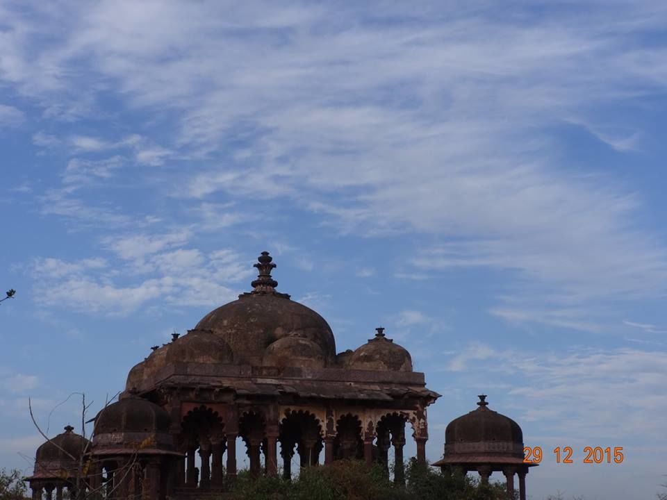 Photo of Ranthambore National Park – The Land Of Tigers 6/7 by Vijit Jindal