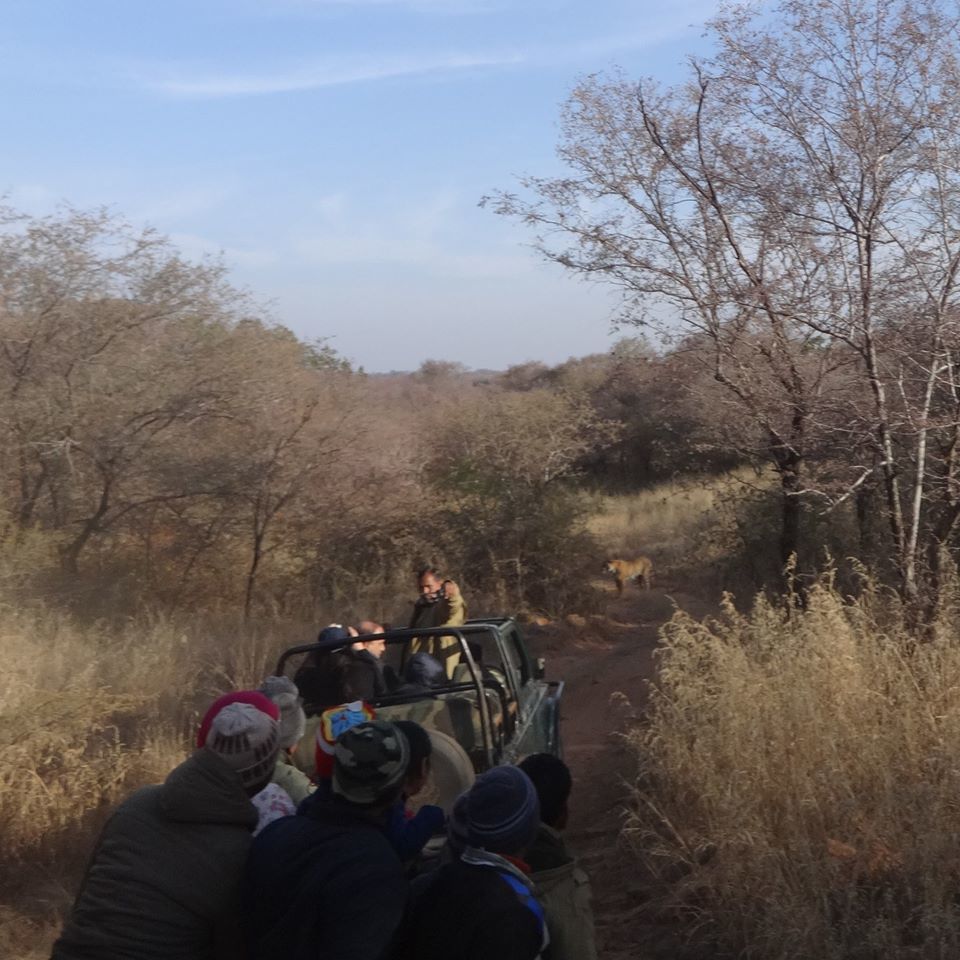 Photo of Ranthambore National Park – The Land Of Tigers 7/7 by Vijit Jindal