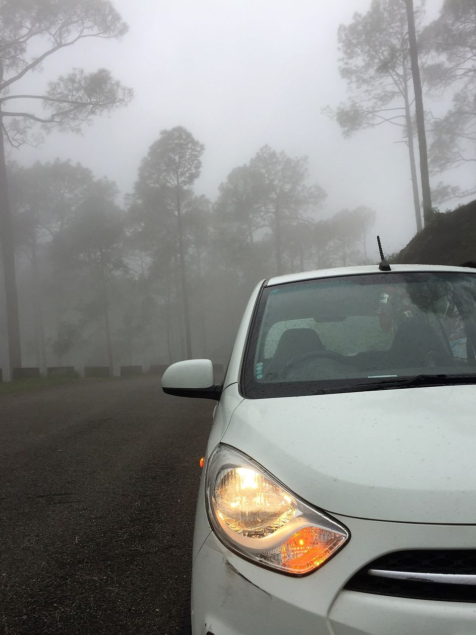 Photo of Weekend Getaway To Pangot Jeolikot Sattal by Vijit Jindal