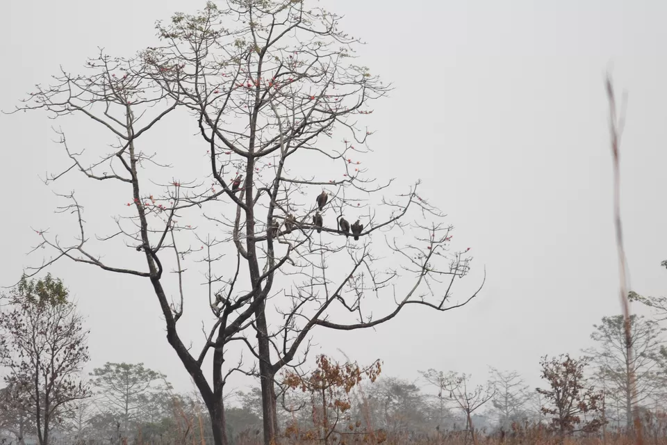 Photo of Airport Terminal 2, International Airport, Dum Dum, Kolkata, West Bengal, India by Tanmoy Mallick