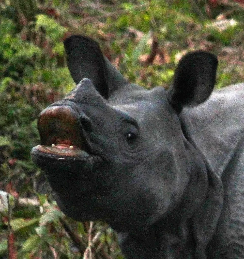 Photo of Airport Terminal 2, International Airport, Dum Dum, Kolkata, West Bengal, India by Tanmoy Mallick