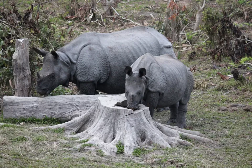 Photo of Airport Terminal 2, International Airport, Dum Dum, Kolkata, West Bengal, India by Tanmoy Mallick