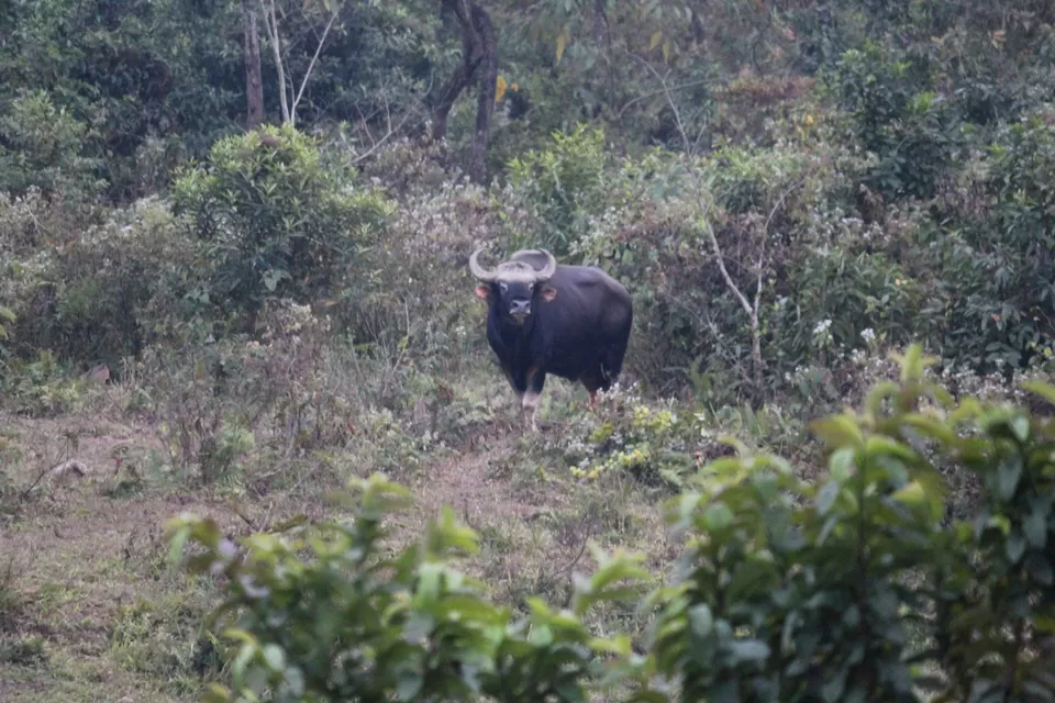Photo of Airport Terminal 2, International Airport, Dum Dum, Kolkata, West Bengal, India by Tanmoy Mallick