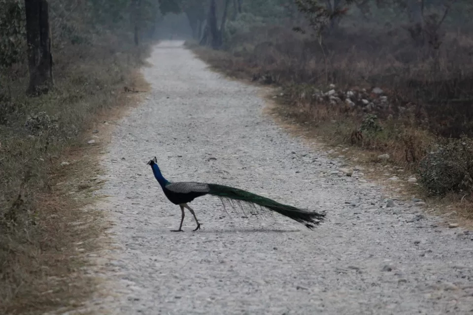 Photo of Airport Terminal 2, International Airport, Dum Dum, Kolkata, West Bengal, India by Tanmoy Mallick