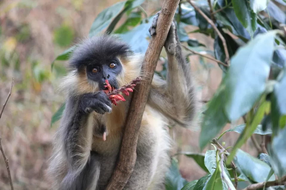 Photo of Airport Terminal 2, International Airport, Dum Dum, Kolkata, West Bengal, India by Tanmoy Mallick