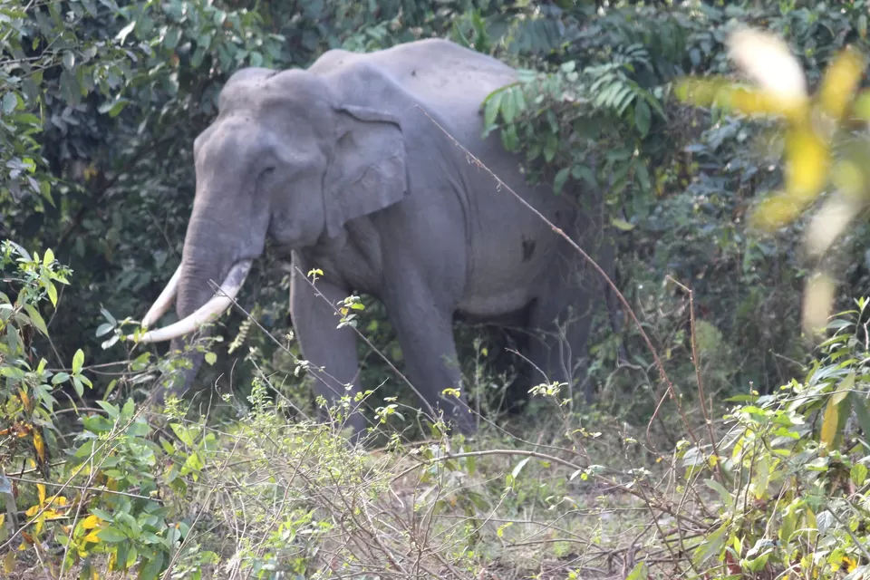 Photo of Airport Terminal 2, International Airport, Dum Dum, Kolkata, West Bengal, India by Tanmoy Mallick