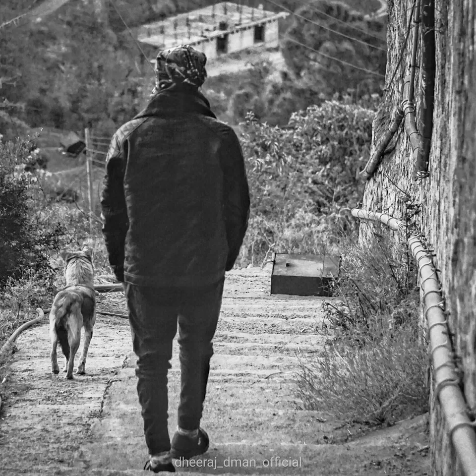 Photo of Kufri, Himachal Pradesh, India by dheeraj_dman