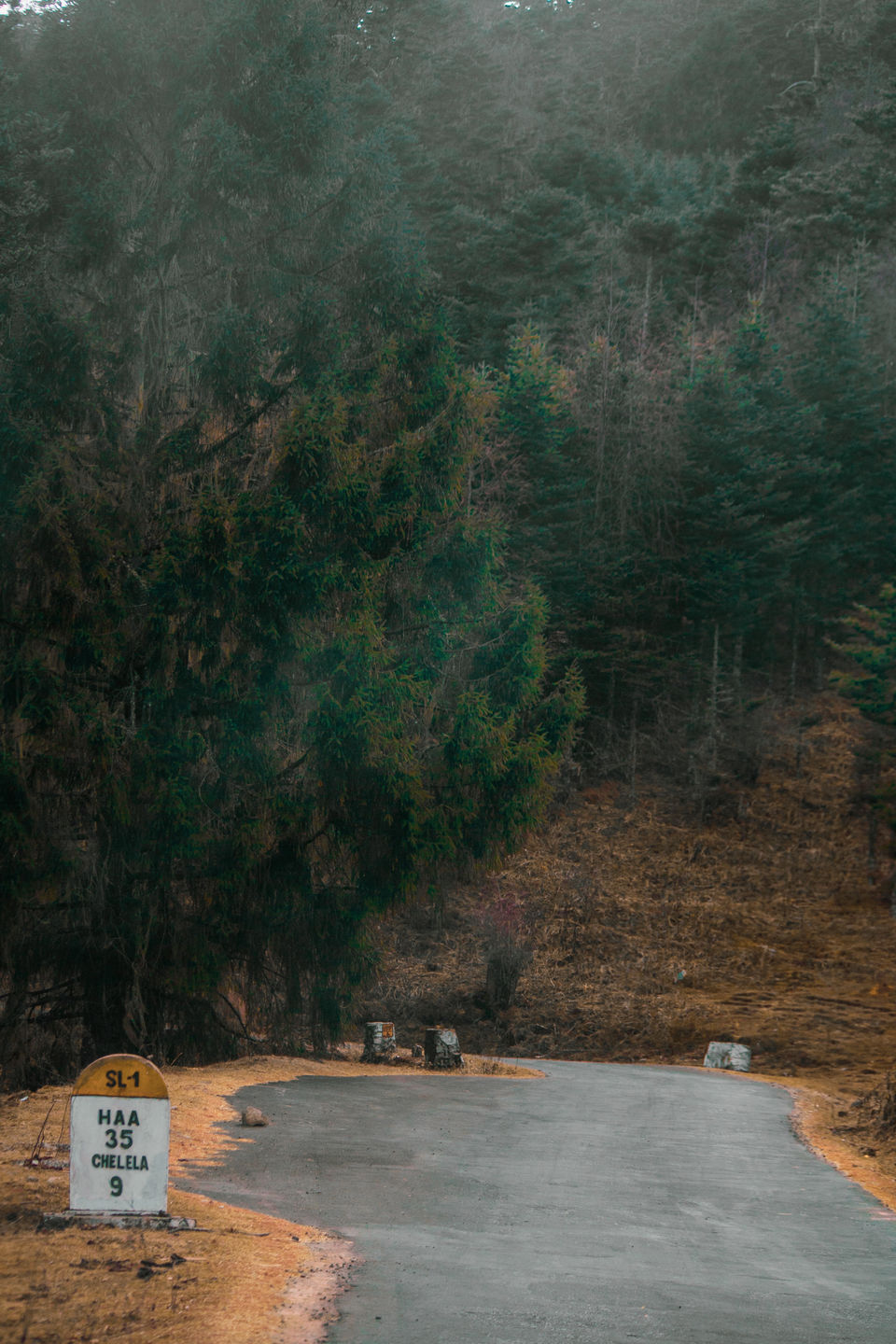 Photo of Chele La, Bhutan by shelly pandey
