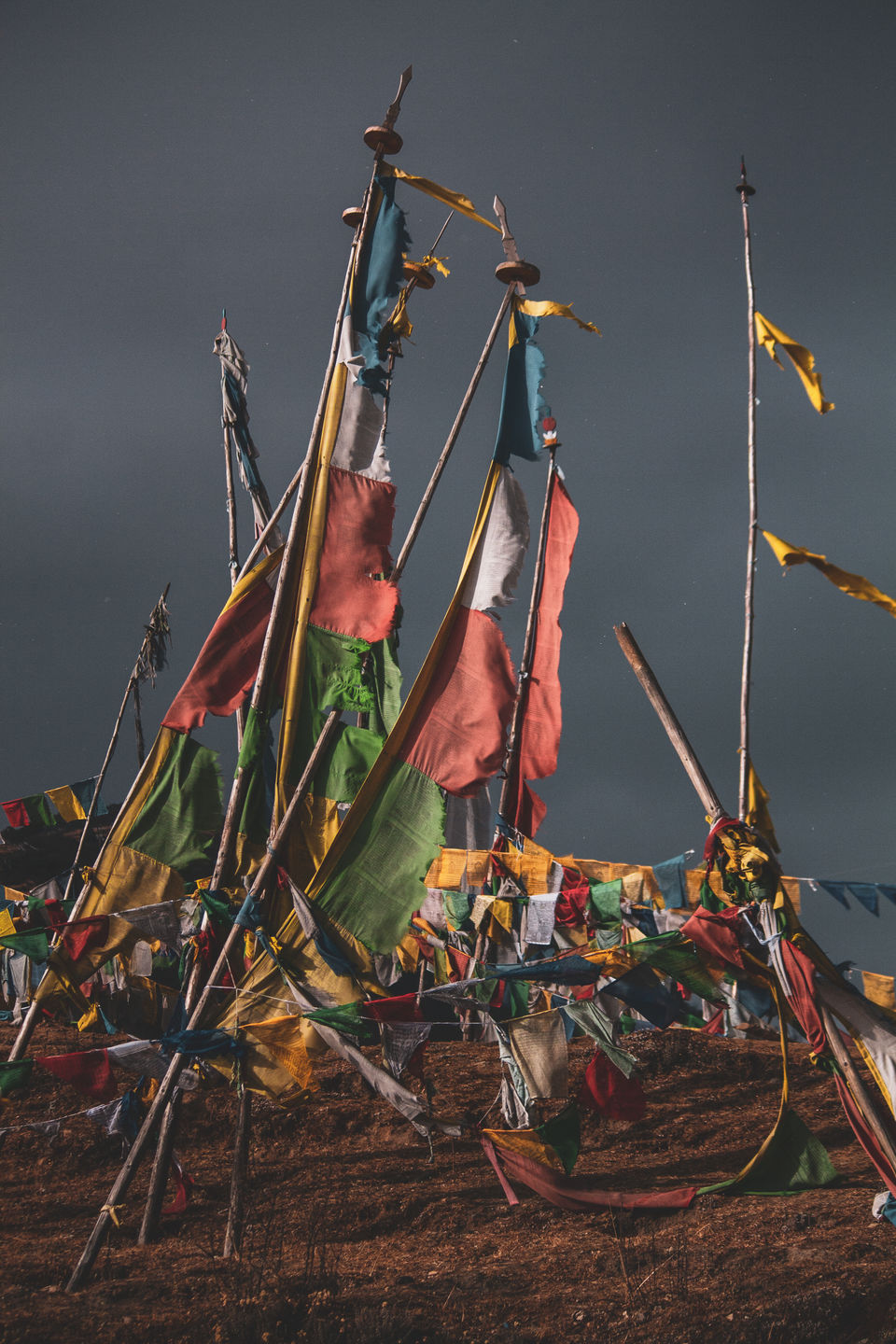Photo of Chele La, Bhutan by shelly pandey