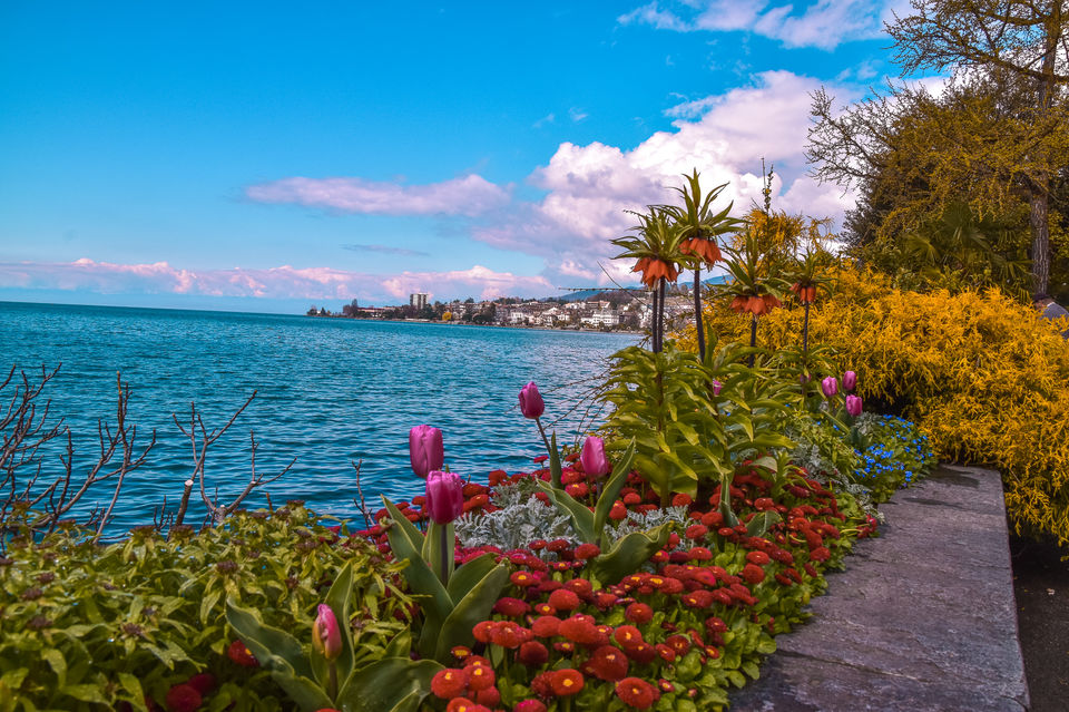 Photo of Switzerland in A Week | Detailed Itinerary 11/14 by Priya & Raghav