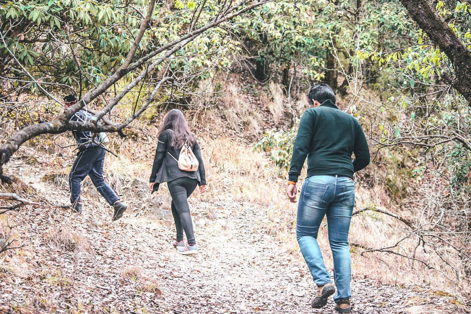 Photo of The Green Hideaway of Binsar Forest Retreat #summerescape #IssSummerBaharNikal by Priya & Raghav