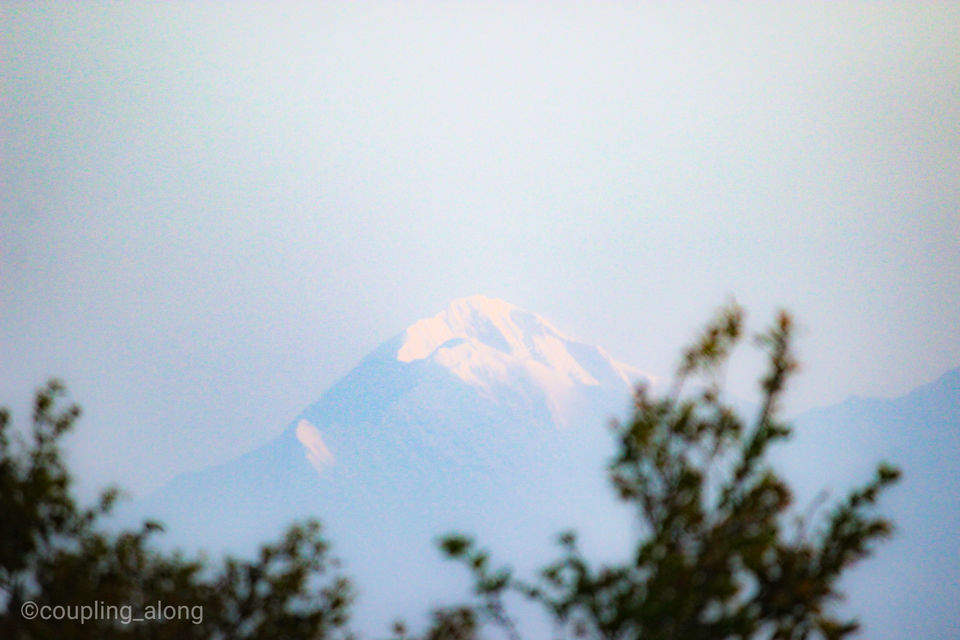 Photo of The Green Hideaway of Binsar Forest Retreat #summerescape #IssSummerBaharNikal by Priya & Raghav