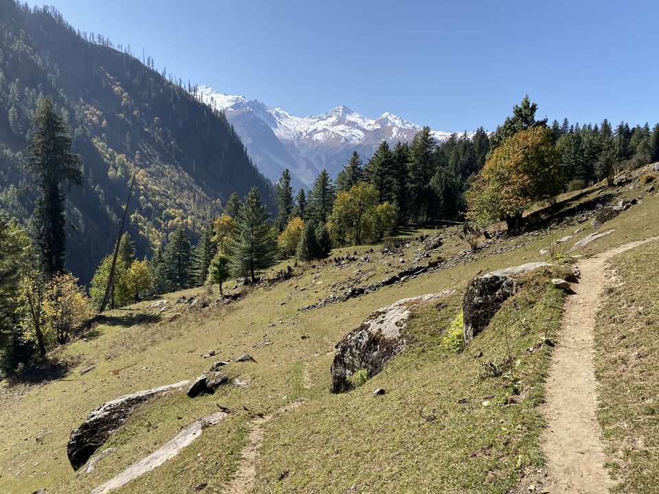 Photo of Buddha ban, Himachal Pradesh, India by Swagat Das