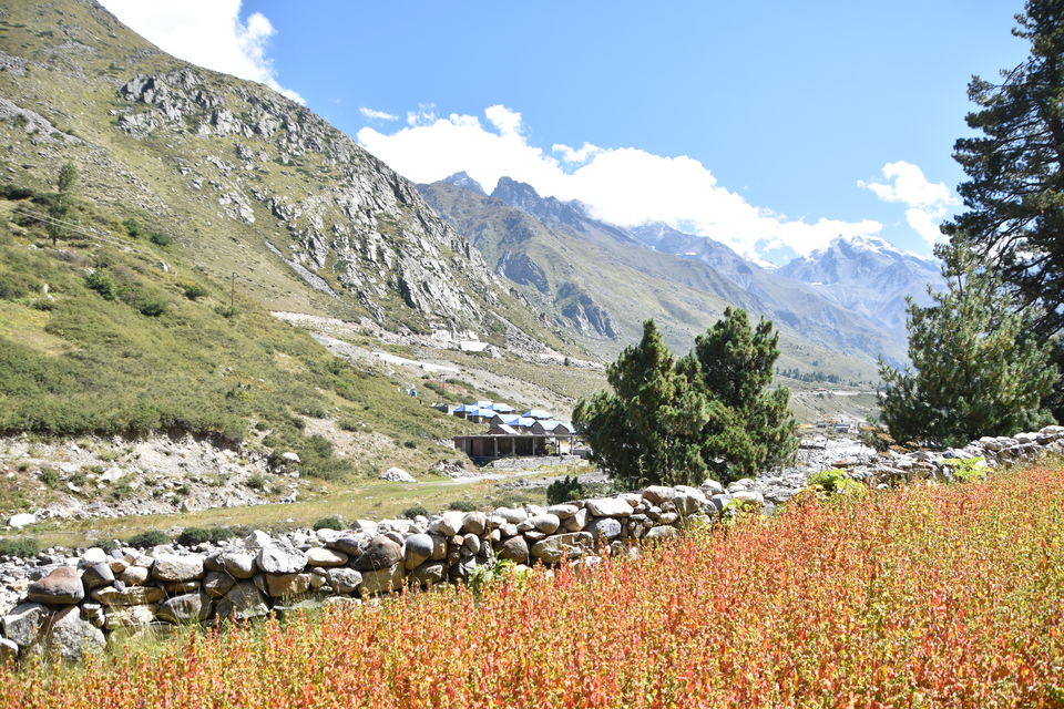 Photo of Chitkul - Himachal's best kept secret by Swagat Das