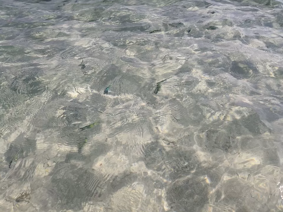 Photo of Phi Phi Islands, Krabi, Thailand by Tadasha Mishra