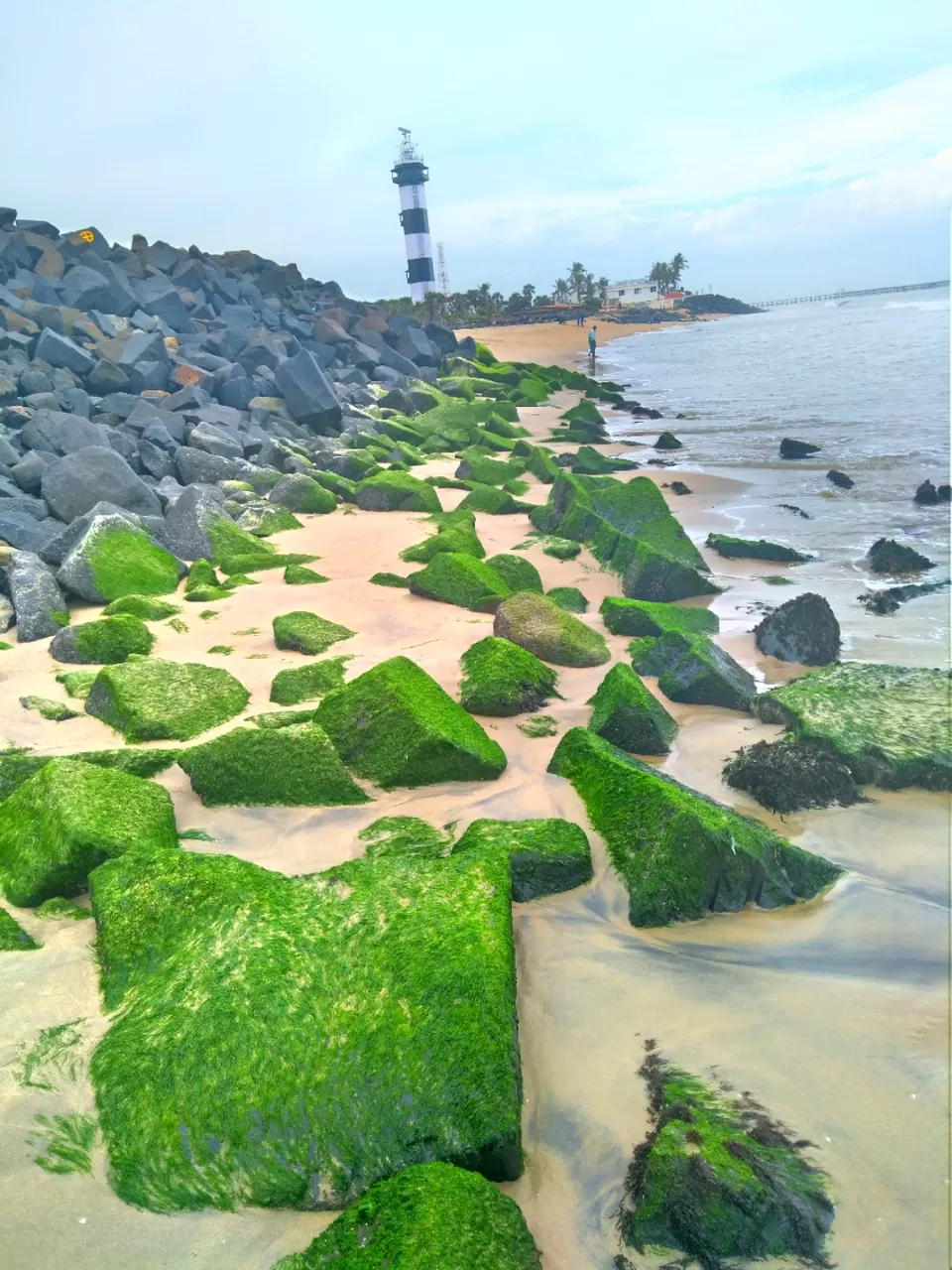 Photo of Pondy and Us by Tadasha Mishra