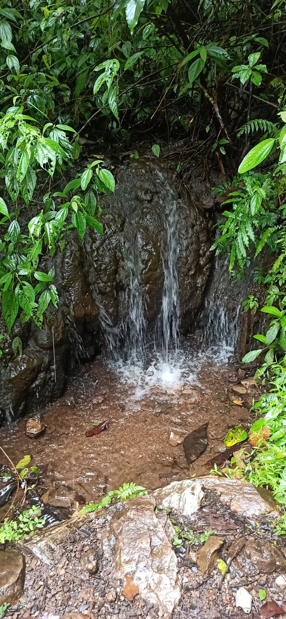 Photo of Gokarna, Karnataka, India by Tadasha Mishra