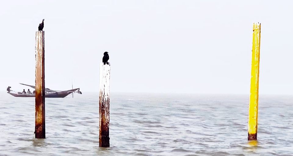 Photo of Chillika-The Winter home for the Avian Guests by Tadasha Mishra