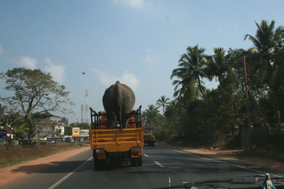 Photo of Central Kerala by Binu Alex