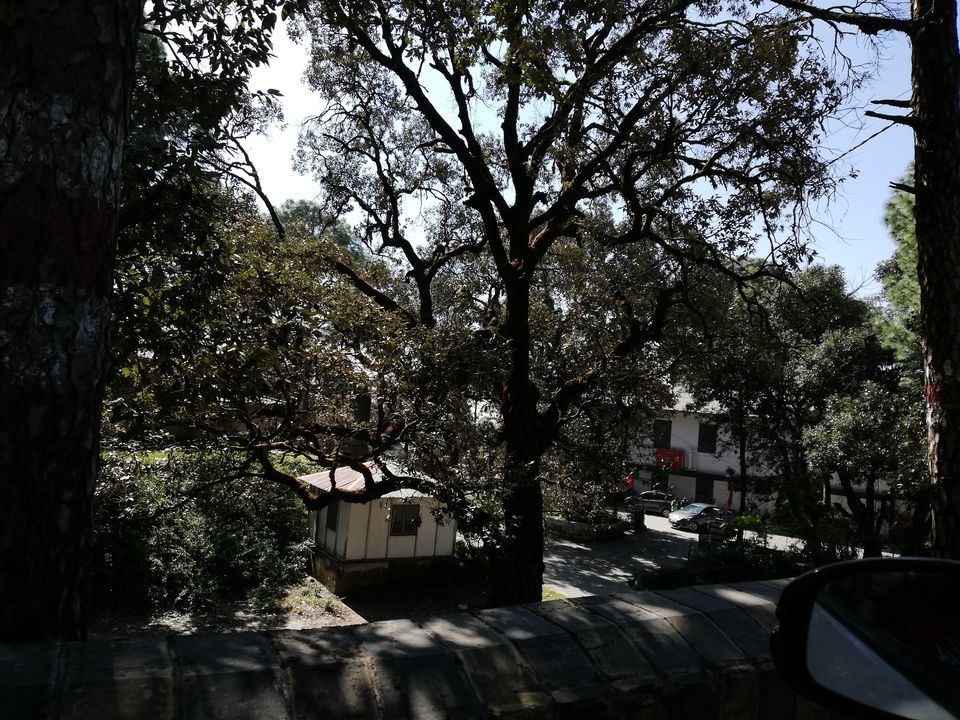 Photo of Lansdowne: My awakening call 14/27 by flying#wings