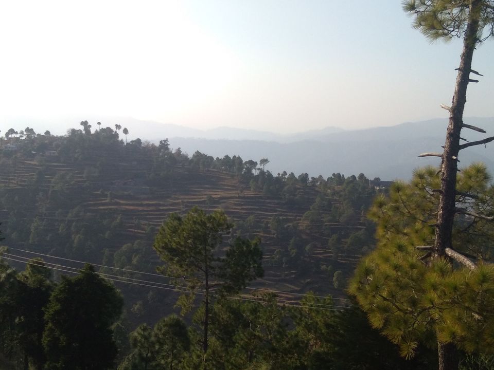 Photo of Almora: The calling continued 9/36 by flying#wings