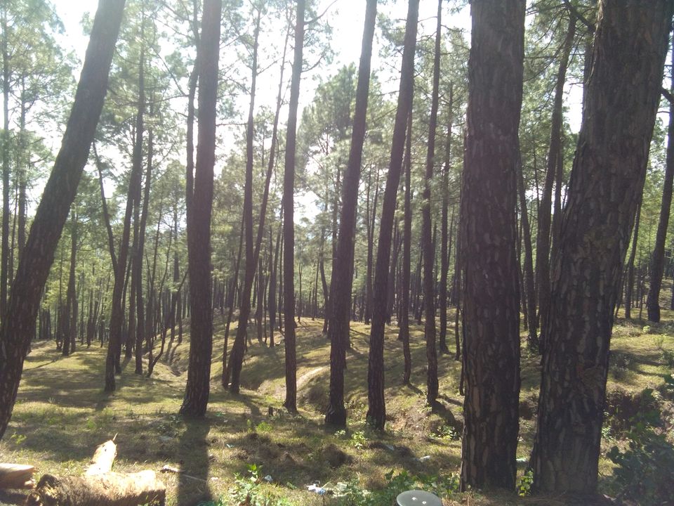 Photo of Almora: The calling continued 14/36 by flying#wings