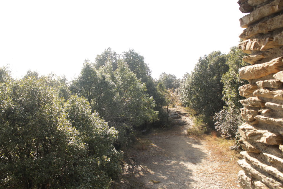 Photo of Almora: The calling continued 17/36 by flying#wings
