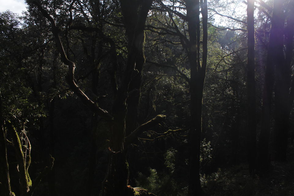 Photo of Almora: The calling continued 21/36 by flying#wings