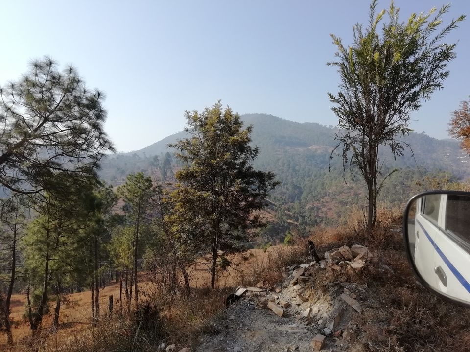 Photo of Chopta – Road to peaceful mountains... 6/31 by flying#wings