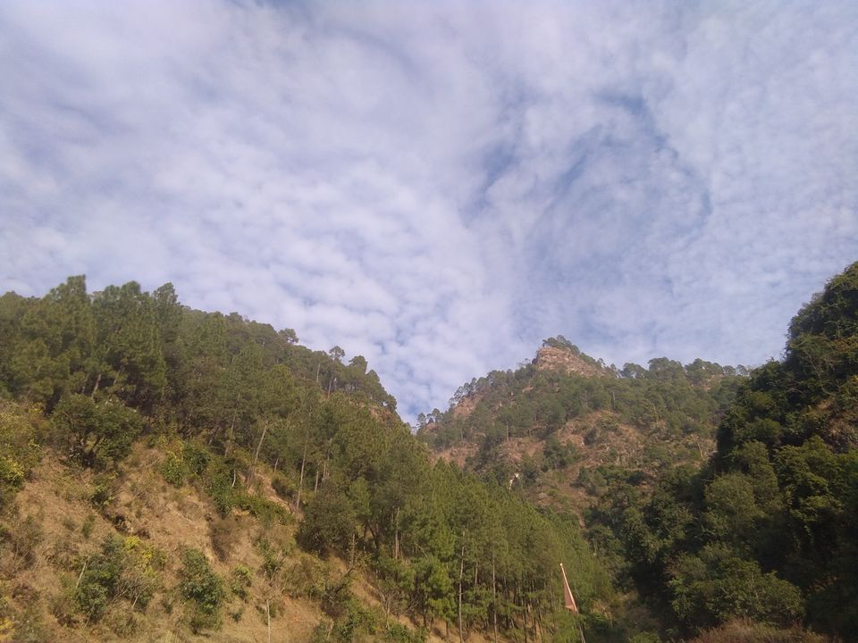 Photo of Chopta – Road to peaceful mountains... 9/31 by flying#wings